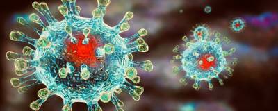 На Колыме за сутки выявили 12 случаев коронавируса