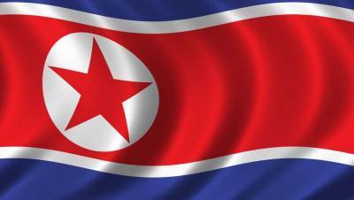 Более 40 стран пожаловались в ООН на Северную Корею