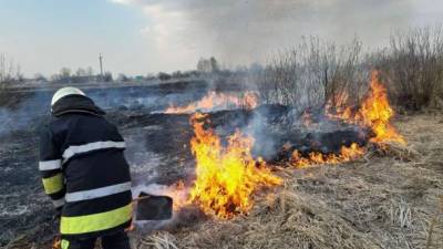 В Луганской области остановили возгорание травы