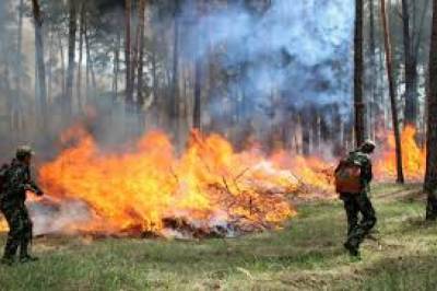 В Украине объявили чрезвычайный уровень пожарной опасности, - ГСЧС