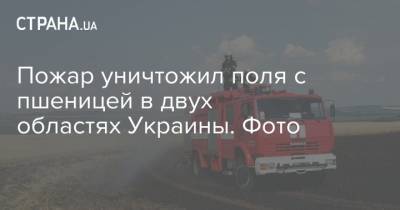 Пожар уничтожил поля с пшеницей в двух областях Украины. Фото