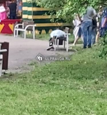 В парке «Семья» скончался мужчина