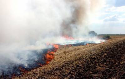 В Хмельницкой области огонь уничтожил 16 гектаров пшеничного поля