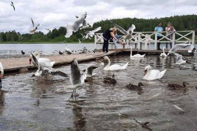 В Изборске до конца августа ограничат доступ к озеру