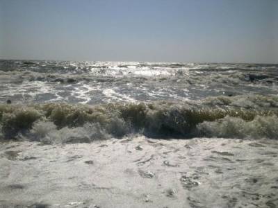 В Азовском море невозможно подойти к воде, отдыхающие встревожены: кадры напасти