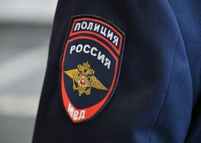В полиции опровергли межэтнический характер драки на юге Москвы