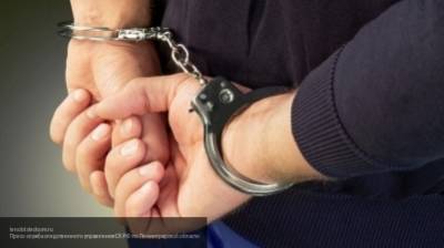 Двух членов террористической ячейки арестовали в Новосибирске