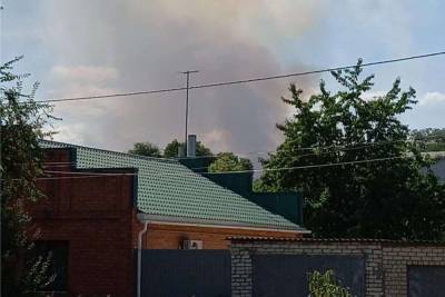 На западе Волгограда горит лес рядом с частным сектором