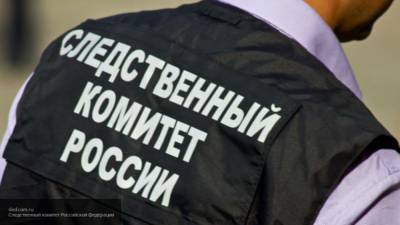 Двое участников террористической ячейки были арестованы в Новосибирске по решению суда