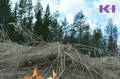 В 14 из 20 муниципалитетов Коми 26 июля сохранится высокая пожароопасность