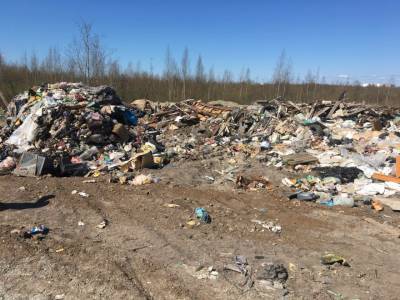 Штраф за незаконную перевозку мусора в Ленобласти предлагают увеличить до 1,5 млн рублей