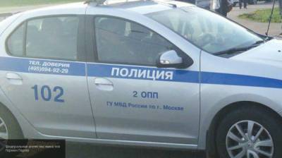 ГУ МВД: Более 30 человек задержали в Москве после драк и порчи имущества