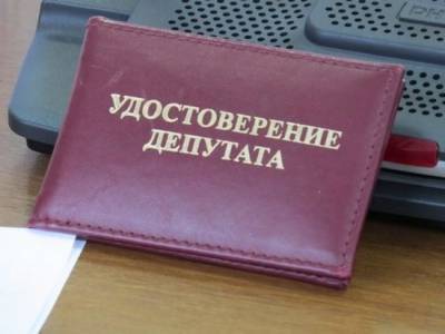 Депутат из Цильнинского района досрочно лишился полномочий за скрытые доходы