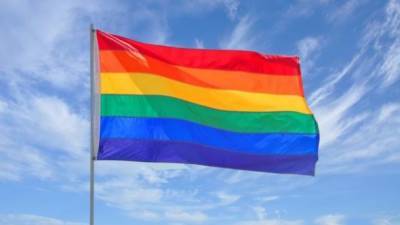 В "Слуге народа" отложили рассмотрение законопроекта о запрете пропаганды ЛГБТ