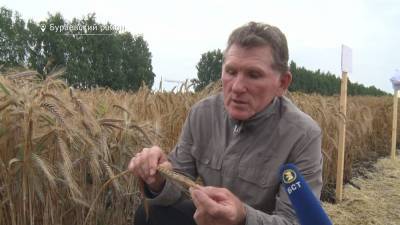 В Башкирии прогнозируется рекордный урожай