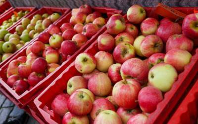 Все на экспорт: Латвия заработала почти 15 миллионов евро на торговле фруктами