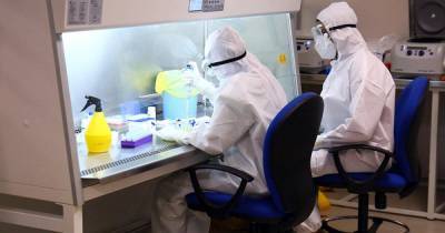 В США создали детектор для мгновенного выявления коронавируса