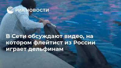 В Сети обсуждают видео, на котором флейтист из России играет дельфинам