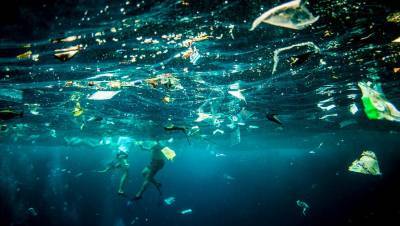 В Японии создали «пластиковые» пакеты, разлагающиеся в морской воде