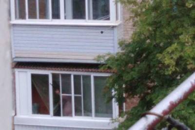 В Дорогобужском районе мужчины расстреливал с балкона птиц и животных