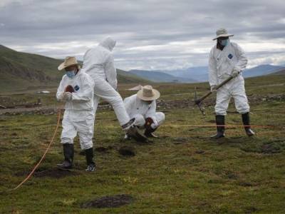 В Монголии подозрения на чуму: объявлен карантин и запрет есть сурков