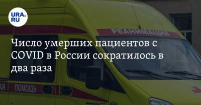 Число умерших пациентов с COVID в России сократилось в два раза