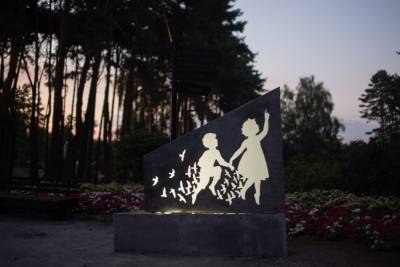 Инсталляцию в память о погибшем липецком мальчике установили в Воронеже