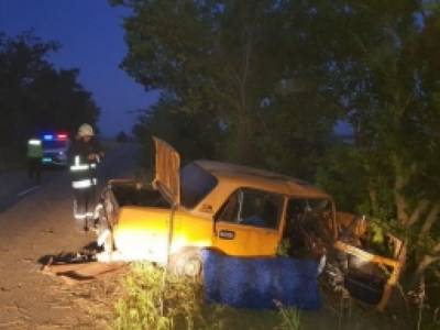 В Запорожской области автомобиль врезался в дерево: водителя и пассажиров доставили в больницу