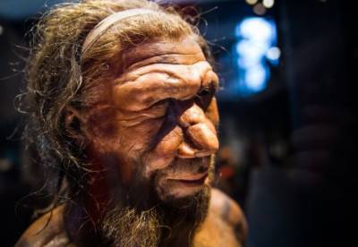 Опровергнут популярный миф о вымирании неандертальцев
