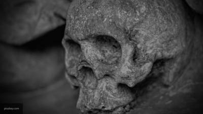 Человеческий череп обнаружен в привезенной дачникам земле в Ленобласти