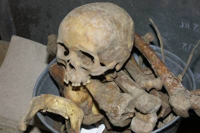 Дачнику в Ленобласти привезли землю с человеческими костями