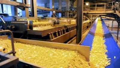 В Украине построят завод по производству картофеля фри
