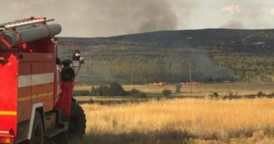 Крупный пожар произошел на хуторе Волгоградской области из-за пастуха