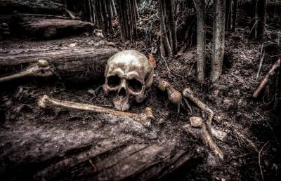В Ленобласти дачнику привезли землю с человеческими костями