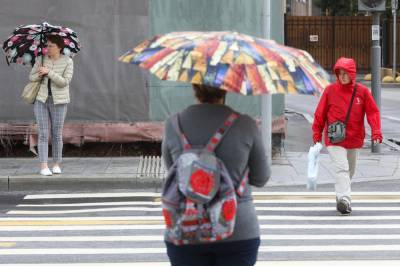 Жителей Подмосковья предупредили о дожде с грозой и порывистом ветре в ближайшие часы