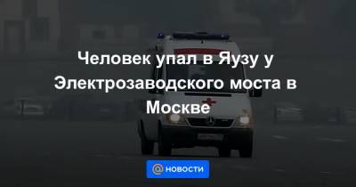 Человек упал в Яузу у Электрозаводского моста в Москве