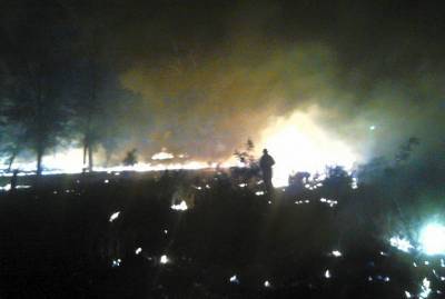 На Днепропетровщине горело более четырех гектаров леса: фото и видео