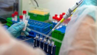 Вспышка коронавируса на ферме в Германии: среди инфицированных есть украинцы