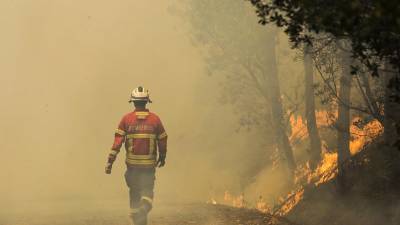 Сптуники помогут Португалии бороться с лесным пожаром