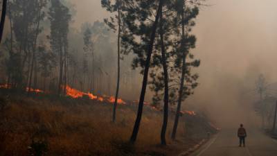 В Португалии из-за лесных пожаров объявлено состояние повышенной готовности