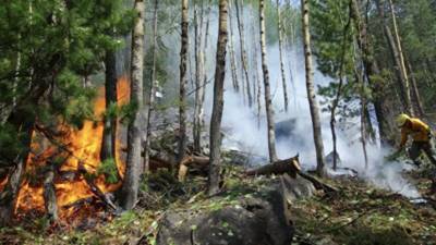 Потушен пожар в Забайкальском нацпарке Бурятии