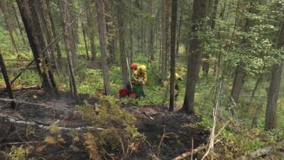 Новости на "России 24". Чукотка горит: лесные пожары вынудили ввести положение ЧС