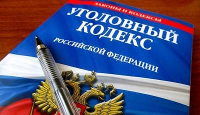 В России могут ввести уголовную статью за налоговое мошенничество