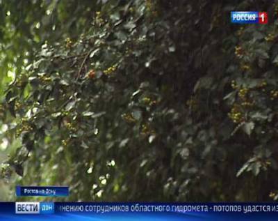 В Ростовской области ожидаются сильные дожди с грозами, градом и ветром до 23 м/с