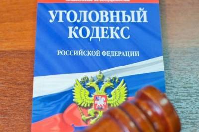 В Уголовный кодекс РФ предложили ввести новую статью