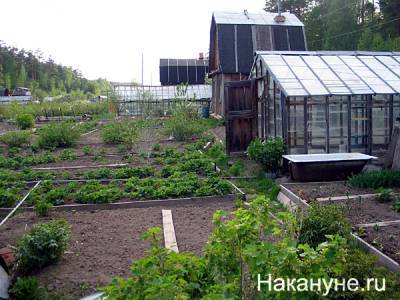 Свердловские энергетики банкротят 10 садовых товариществ, которые должны более 30 млн рублей