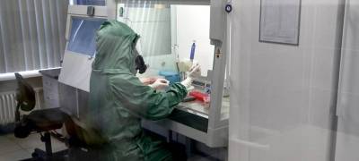 Число заразившихся коронавирусной инфекцией в Карелии возросло до 2179