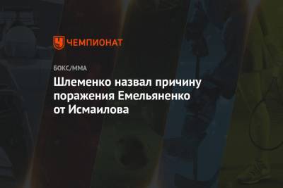 Шлеменко назвал причину поражения Емельяненко от Исмаилова