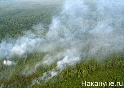Пожар в Забайкальском нацпарке, который начался в начале июля, удалось ликвидировать