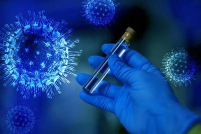 В России число проведенных тестов на коронавирусную инфекцию достигло отметки 27 млн
